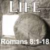 Life: Romans 8, Study 14