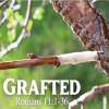 Grafted: Romans 11, Study 18