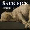 Sacrifice: Romans 12, Study 19