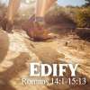Edify: Romans 14, Study 24