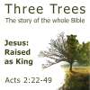 Jesus, Raised as King: Acts 2, Study 09