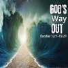 God's Way Out: Exodus, Study 06