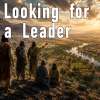 Numbers: Study 06, Looking for a Leader